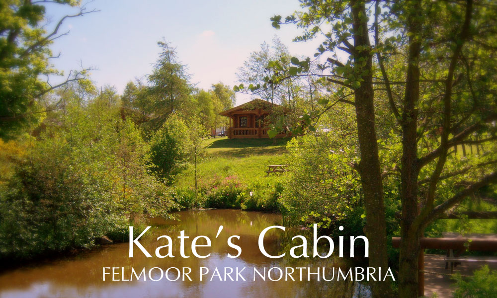 northumberland luxury log cabins | accommodation in northumberland